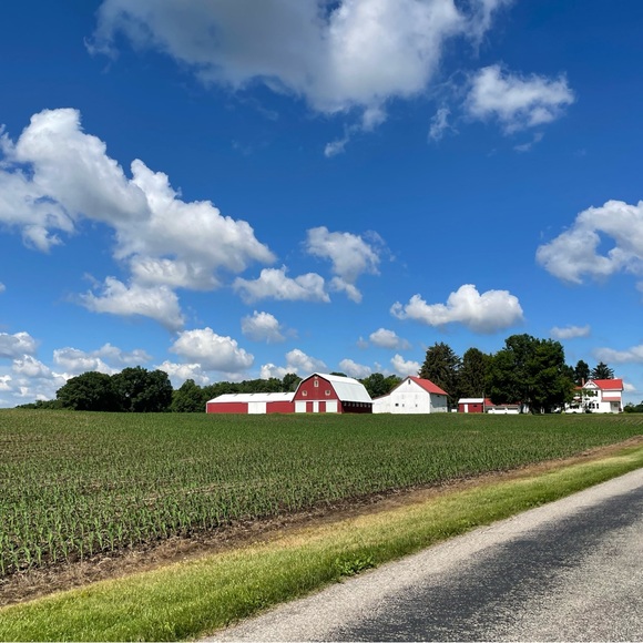 Meet me, buckeyest8finds! - Picture 6 of 7